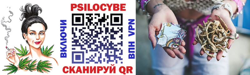 Псилоцибиновые грибы Cubensis  Купить где  Сафоново 